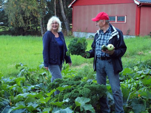 Austrått agroturisme, Austrått landwirtschaftliche wirtschaftsgemeinschaft, gårdsturisme, ökologisches landbau, Zwei Leute stehen in den Gemüsefeldern, zeigt feines Gemüse