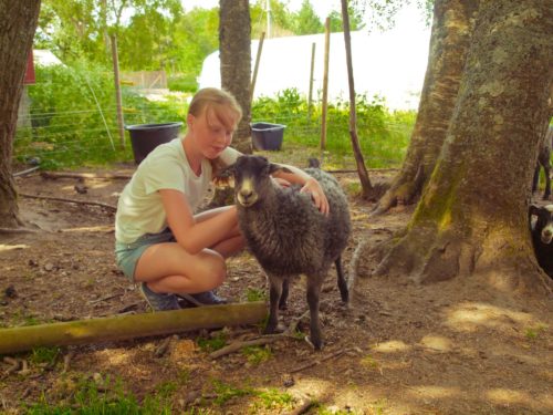 Örland, Austraatt agroturismus, Norwegisches pelzschaf, junges Mädchen strichelt ein Lamm