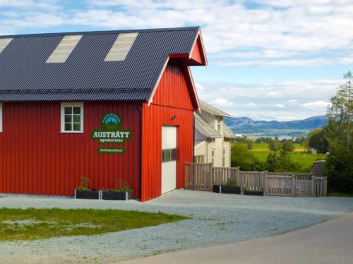 Austrått agroturismus, rote Scheune mit scwarzes Dache, Weisses Haus hinter der Scheune, im Hintergrund ein Blick auf den Fjord